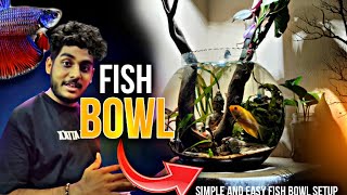 How To Set Up A FISHBOWL The RIGHT Way  Setup Fish Bowl  Planted Fish Bowl Setup [upl. by Atteloiv]