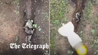 Moment Russian soldier catches and throws away Ukrainian drone bombs [upl. by Shu]