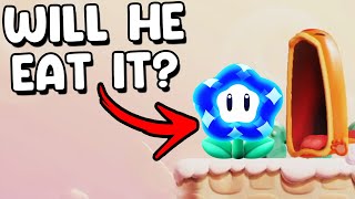 I busted 15 Myths In Super Mario Bros Wonder 3 [upl. by Ecnerwaled]