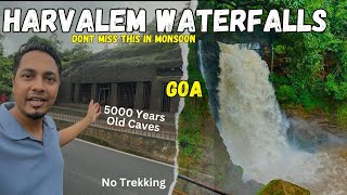 Harvalem Waterfall Goa  Arvalem Caves  Mustvisit Waterfall in Goa  Places To Visit Near Waterfall [upl. by Teerprah]