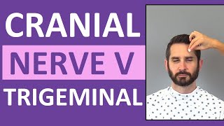 Cranial Nerve 5 Examination Nursing  Trigeminal Nerve  Cranial Nerve V Assessment [upl. by Anelah]