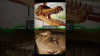 Mosasaurus hoffmanni VS Livyatan melvillei edit 1v1 prehistoricanimals [upl. by Noreik770]