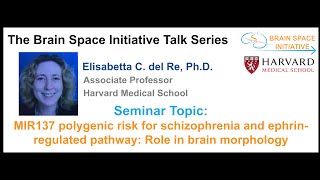 MIR137 polygenic risk for schizophrenia and ephrinregulated pathway Role in brain morphology [upl. by Olifoet]