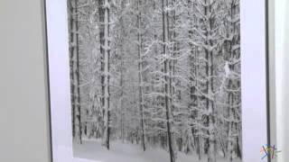 Pine Forest in the Snow Yosemite National Park Framed Wall Art  Product Review Video [upl. by Peria]