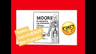 CUANTOS HUESOS 🤓 TIENE EL CUERPO HUMANO 🤷🏻‍♂️ Dr Arkel te ayuda a contarlos [upl. by Ettore497]