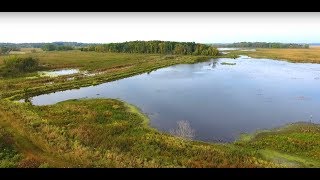 Horicon Marsh Wildlife Area  The country’s largest freshwater cattail marsh [upl. by Stace935]