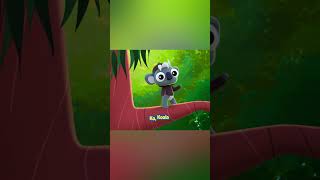 KOALA 🐨 l Chipi Chapi Songs l Canciones Infantiles [upl. by Lilybelle]