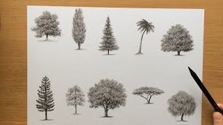 Drawing Trees With Charcoal Pencils [upl. by Yetta164]