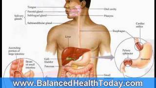 Liver and Gallbladder Flush Directions Part 1 [upl. by Adnilev]