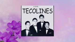 Los Tecolines Cerezo Rosa [upl. by Ydnolem486]