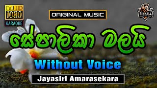 Sepalika Malai ❤️ සේපාලිකා මලයි  Karaoke Without Voice  Jayasiri Amarasekara [upl. by Rexford659]