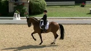 Isabell Werth amp EmilioFritzens CDI4 2018 [upl. by Cuthburt]