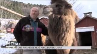 ANIMAUX  Une arche de Noé au coeur du Jura [upl. by Nerin]