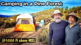 Part 2 Camping near Los Angeles United States  Winter Camping in deep forest [upl. by Ahsiuqet717]