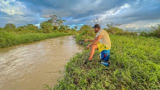 Tarde de pesca por arroyos sucios mucha naturaleza y cocina con bello atardecer [upl. by Roselani]