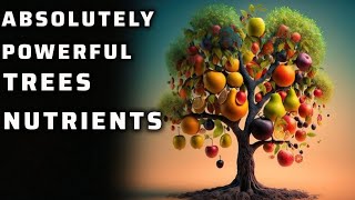 tree nutrition the most important fertilizer for trees deficiency symptoms [upl. by Refiffej]