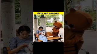 Bengali Dog Laugh Extravaganza  Funniest Moments and Reactions [upl. by Ttej572]