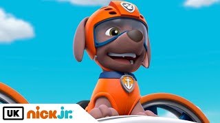 Paw Patrol 2019  Cartoon Movies For Kids Pups Save a Lost Tooth [upl. by Jet]