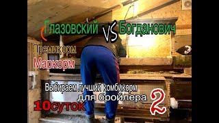 Глазовский vs Богданович Выбираем лучший комбикорм для бройлера 2 10 суток [upl. by Rodney16]