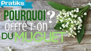 Pourquoi offreton du muguet le 1er Mai [upl. by Bray179]