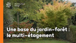 Une base du jardin forêt  le multiétagement [upl. by Enida45]