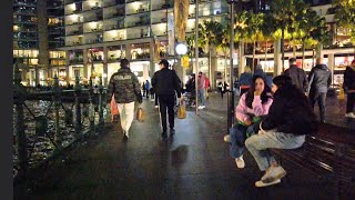 Circular Quay at Night A Beautiful Harbour Stroll [upl. by Ramedlab]