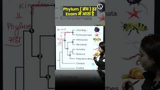 Phylum संघ याद करने की Trick 😍  SSC CHSL Questions ShortsFeed Phylum SSC PW [upl. by Akihsay]