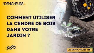 Cendre de bois  comment l’utiliser efficacement dans votre jardin [upl. by Llehcal]