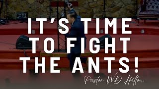 Its Time To Fight The Ants  Pastor WD Hilton October 20 2024 [upl. by Leila]