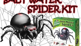 Salt Water Fuel Cell Spider Science Kit [upl. by Evante]