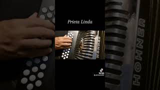 Prieta Linda sierreño tutorial acordeondesol ramonayala trump accordion guitar regional [upl. by Lati550]