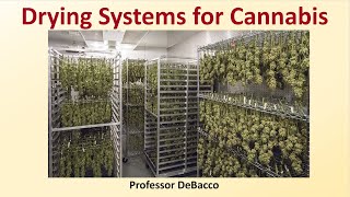 Drying Systems for Cannabis [upl. by Inaej]