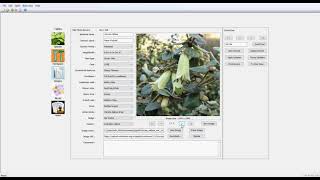 How to add multiple images of a species in the plant database application SppDb [upl. by Nohs446]