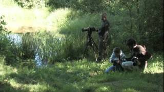 Biodiversité en danger  Documentaire [upl. by Airual]