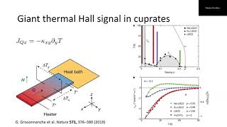 Haoyu Guo Harvard University  Extrinsic phonon thermal hall effect  April 22 2021 [upl. by Arette]