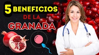 BENEFICIOS de la GRANADA ❤️✅ Propiedades Medicinales Cómo COMERLA y Contraindicaciones [upl. by Dinan400]