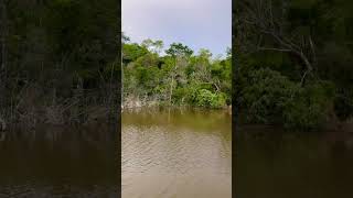 SÍTIO 22 HECTARES À VENDA EM SANTA CATARINA 49 998055440 [upl. by Arahk]