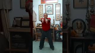 Red Boat Wing Chun  Grandmaster Yip Fook Choy [upl. by Bullivant]