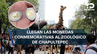 ¡Monedas conmemorativas Ésta es la nueva atracción del Zoológico de Chapultepec [upl. by Anaihk]