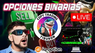 🔴TRADING OPCIONES BINARIAS🔴 ESTRATEGIA TIBURÓN SESIÓN COPY TRADING TIKTOK  IQ OPTION [upl. by Norahc]