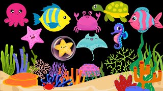 Baby Bear  Under The Sea  Relaxing Animation  Sleep Video  Baby Sensory [upl. by Elicec]