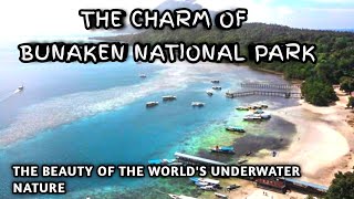 THE CHARM OF BUNAKEN NATIONAL PARK THE BEAUTY OF THE WORLDS UNDERWATER NATURE [upl. by Nahama137]