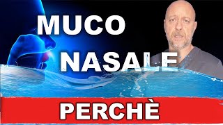 Perchè si forma il muco nasale A cosa serve Mi devo preoccupare [upl. by Wheaton]