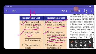 cytoplasm difference between prokaryotic and eukaryotic cell [upl. by Elcin]