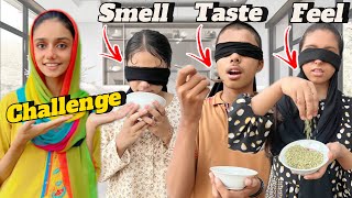 Smell Taste And Feel Challenge 😆 With Siblings [upl. by Christin]