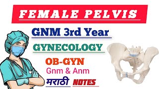 FEMALE PELVIS  GNM 3rd YEAR  GNM NURSING LECTURE IN MARATHI [upl. by Atteuqcaj743]