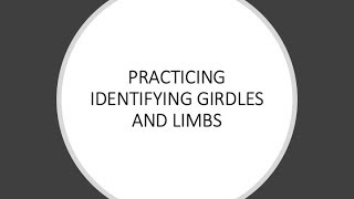 Practice Identifying Limbs and Girdles [upl. by Annayoj]