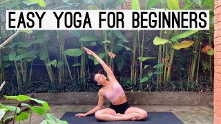 Easy Yoga For Beginners  Gentle Flow  15 Minutes [upl. by Farris]