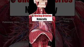 Foods To Help Unclog Arteries Naturally P2 hearthealth food arterie health shorts [upl. by Summers]