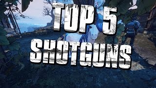 Borderlands 2 Top 5 Shotguns GermanHD [upl. by Duster518]